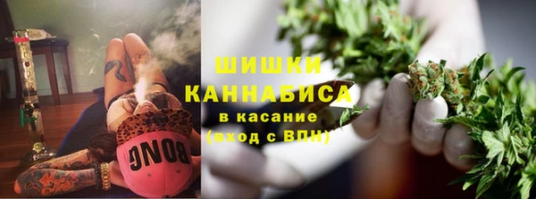 apvp Медногорск