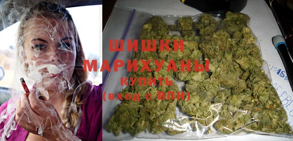 apvp Медногорск