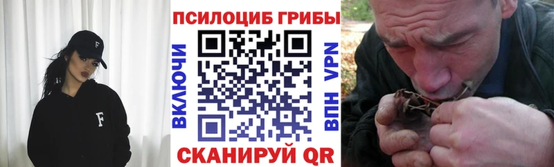 Псилоцибиновые грибы ЛСД  Купить где  Киренск 